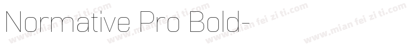 Normative Pro Bold字体转换